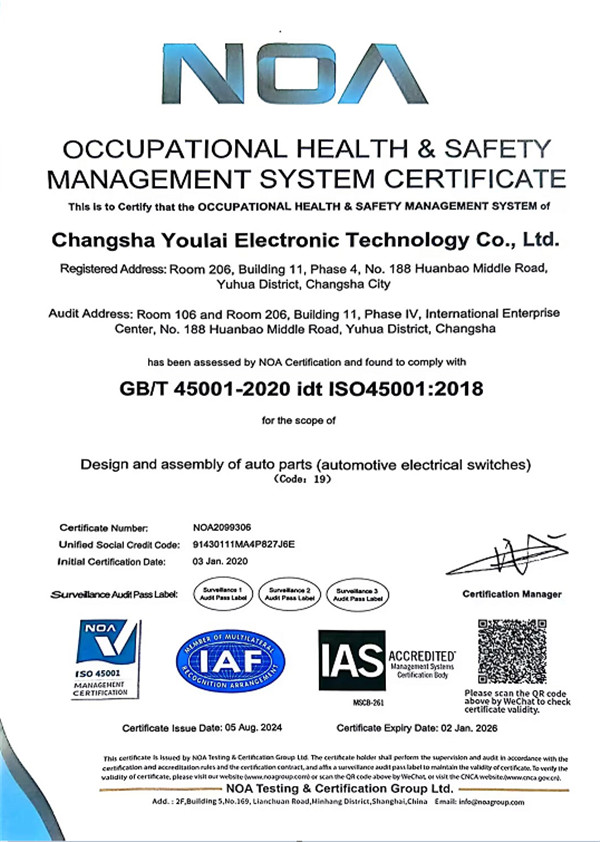 ISO 45001:2018 occupational health and safety management system certificate (English)