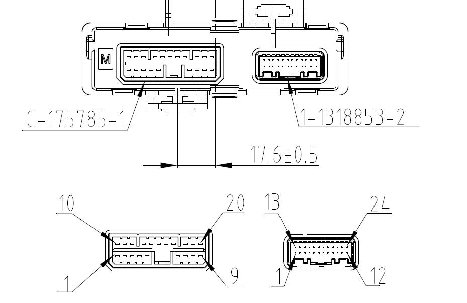 EBX-2163 connector face — 20-pin TE 9-175785-1 and 24-pin TE 1-1318853-2 outline with pin numbering